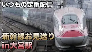 【短時間配信】東北・上越新幹線お見送りライブ(9:55で終了)in大宮駅 2026.1.25【久々の暇ライブ】