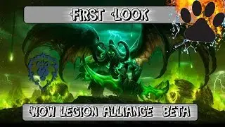 First Look - WoW - Legion Alliance BETA