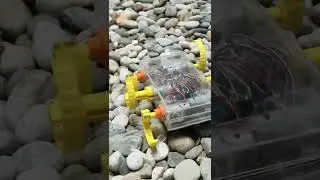 Rough surface terrain beetle robot 🐞