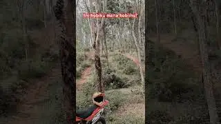 Trabas #trabas #trail #hobby #hobicowok
