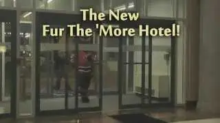 Fur the More Hotel Tour 2015+