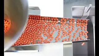 Camsizer 3D &ndash; Measuring Size and Shape of Seeds With 3D Technology | MICROTRAC
