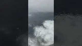 Wild Bass Strait crossing !! #ocean #travel    #australia #nature #roughwater #over50