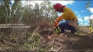 Our Nature - Fibria and the Atlantic Forest - VR 360&deg;