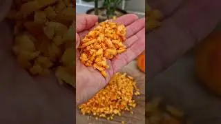 Keeping Pests Away From Your Carrots!
