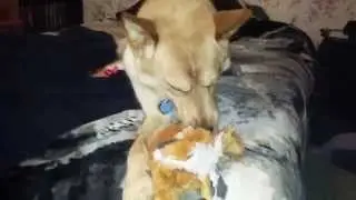 So that's what happened to Todd?!