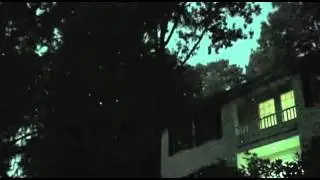 Firefly Landscape Laser Lights  |  Solutions.com