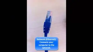 Cable Identification Guide
