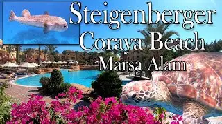 Urlaub und Schnorcheln im Hotel Steigenberger Coraya Beach / Marsa Alam