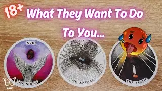 🔞🥵🔥 What Do They *WANT* To Do To YOU?🔥|SPICY PICK-A-CARD