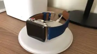 Cosmos Blue Classic Buckle