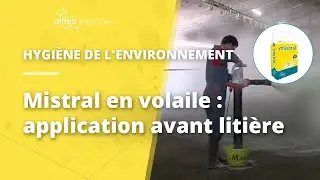 Mistral, Olmix, solution pour une liti&egrave;re s&egrave;che en volaille, application avant liti&egrave;re