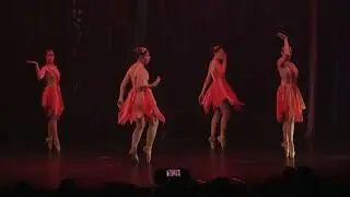 Fogo - Espetáculo de Celebração - GAED 2025