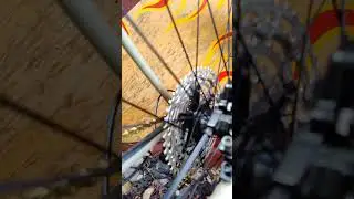 Specialized Chisel Comp Gold