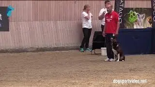 Qualification - C&eacute;sar Jos&eacute; Arroyo Gonz&aacute;lez + Gingerbell Kindle Dwindle/Border Collie - Spain