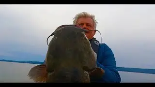 ОГРОМНЫЙ СЮРПРИЗ! Улов во время РЫБАЛКИ на реке Теннесси!!! (озеро Гантерсвилл)