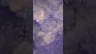 Welcome to the world&rsquo;s largest amethyst cave!
