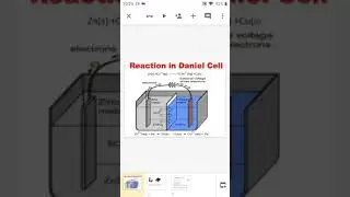 Daniel cell and reversible electrode