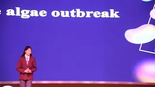 Taihu lake algae outbreak | Katie Wen | TEDxYouth@BISWuxi