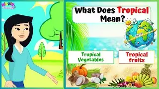 Tropical Means?|Tropical Vegetable and Fruit Names| Educational Video | Learn Fruits & Vegetables