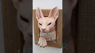 CUSTOM 3D Cat Portrait - Sphinx