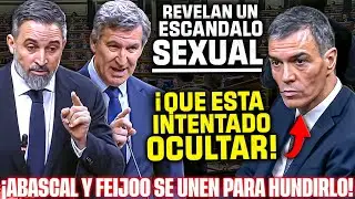 🔥ABASCAL y FEIJ&Oacute;O se unen para REVELAR la IMPLICACI&Oacute;N de S&Aacute;NCHEZ en un ESC&Aacute;NDALO SEXUAL🔥