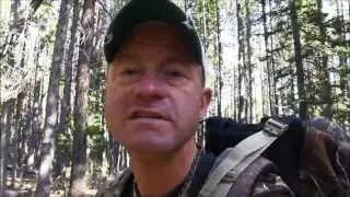 Early Season Elk Bowhunting Tactics - Mark Kayser