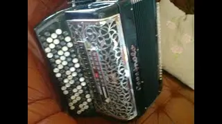 Musta Leski       (Black Widow)