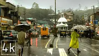 A Rainy Day Walk in Munnar /Relaxing  Walk in the kerala rain to enjoy soothing rain sounds /sleep