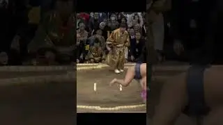 Хосёрю VS Ура Кюсю Басё 2023 Сумо #sport #japan #сумо #mma #sumo #ufc #япония #wwe #борьба