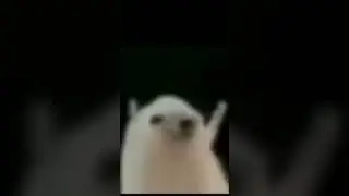 Ahmad Mohsen hedgehog extended version #ahmadmohsen #ahmad #mohsen #hedgehog #meme #memehedgehog