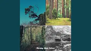 Cool Ambience for Nature