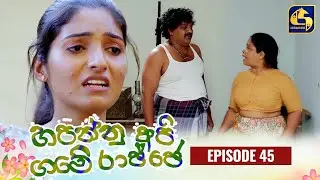 HAPANNU API GAME RAJJE || Episode 45 || හපන්නු අපි ගමේ රාජ්ජෙ || 06th November 2023
