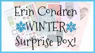 Erin Condren 2017 Winter Seasonal Surprise Box UNBOXING! | #ECSurpriseBox