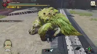 [ MH Rise/Sunbreak ] - Arena Quest Challenge 01 - Tetranodon - Hammer - S Rank - 1'41''60