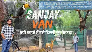 Sanjay Van &ndash; Delhi Hidden Green Paradise | Nature Walk | Mini Amazon Jungle | दिल्ली का फेफड़ा