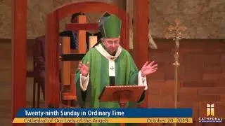 Homily: Twenty-ninth Sunday in Ordinary Time