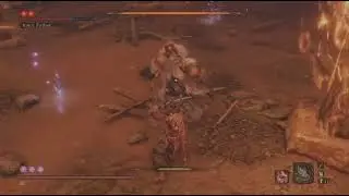 Sekiro Inner Father No Hit