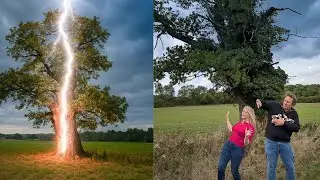 Episode 14:  LIGHTNING TREES! Surprising fun facts / Will the song 'Angel' make them feel comforted?