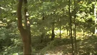 Airsoft War 8/28/10 Part 1