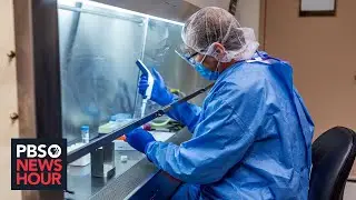 We need a vaccine to vanquish COVID-19. Here's how scientists are trying to find it