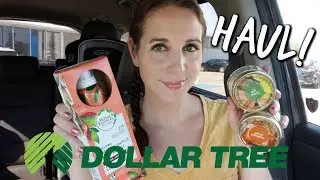 DOLLAR TREE HAUL 9/12/19