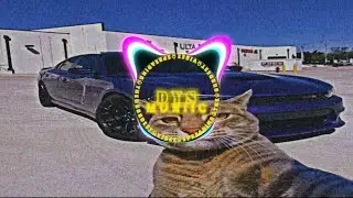 A N Z I K A K A N Y A   - ( WEEDII  •  REMIX ) 2024