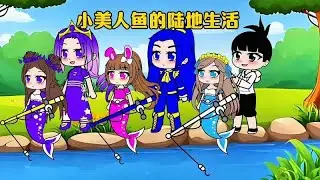 美人魚的陸地生活日記