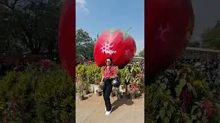 Unlocking the Wonders of Mapro Garden at Mahabaleshwar/ mapro garden🍓/mapro #viral#youtube