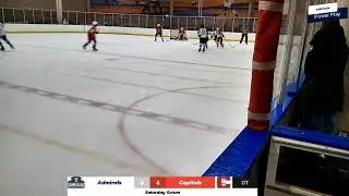 Madison Capitol s vs Milwaukee Admirals, Game 1