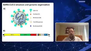 RNA GOES VIRAL &bdquo;Imaging SARS-CoV-2 infection in vitro and in vivo&rdquo;