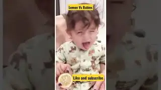 Cute reaction of Babies (Lemon Vs Babies) viral video #shorts