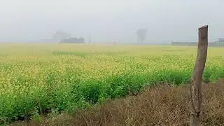 #winter village view
