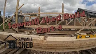 Building Sawmill Shed (Part 4) - Raising & Leveling Beams for Frame | Farm Timelapse